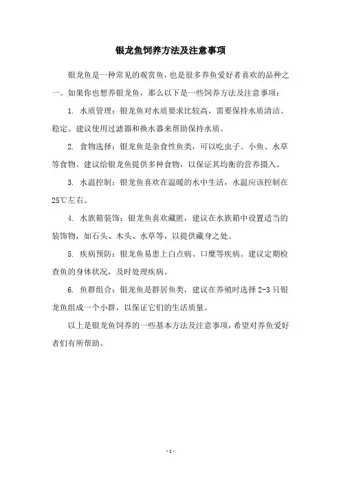 银龙鱼饲养方法及注意事项