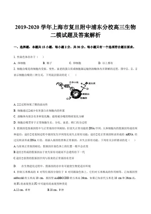 2019-2020学年上海市复旦附中浦东分校高三生物二模试题及答案解析
