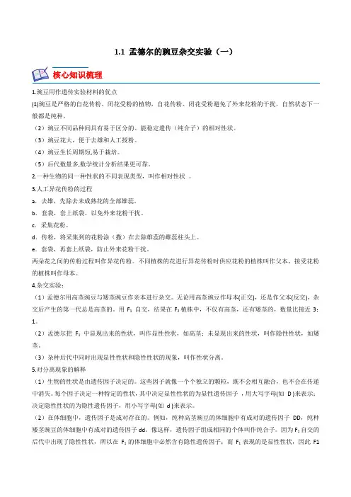 11孟德尔的豌豆杂交实验(一)