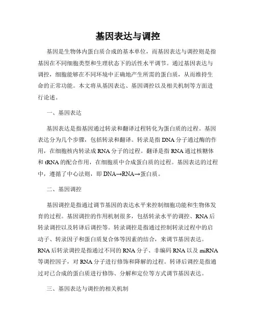 基因表达与调控