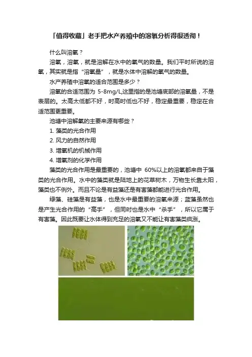 「值得收藏」老手把水产养殖中的溶氧分析得很透彻！