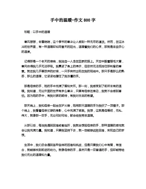 手中的温暖-作文800字