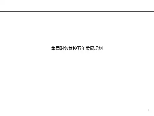 集团财务管控五年发展规划