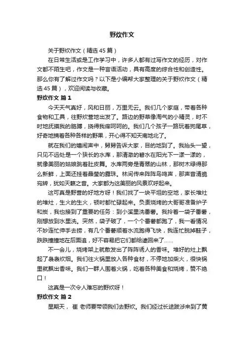 关于野炊作文（精选45篇）