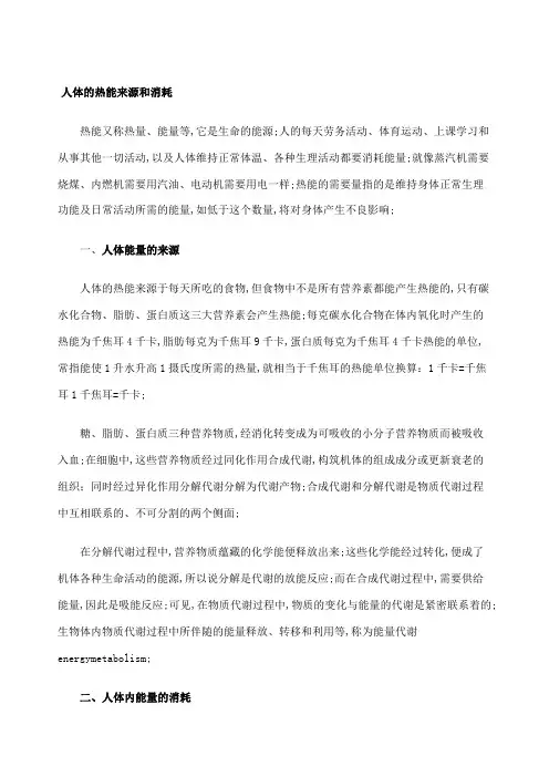 人体的热能来源和消耗