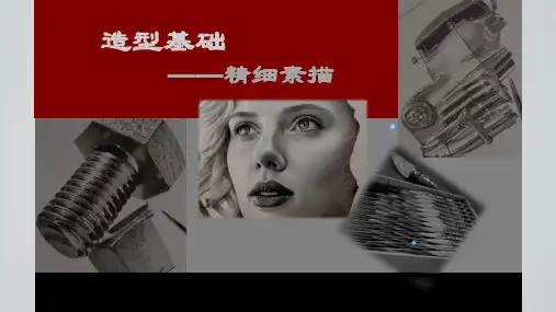 《设计造型基础》课件——精细素描