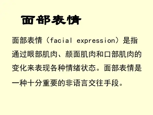 面部心理学.ppt