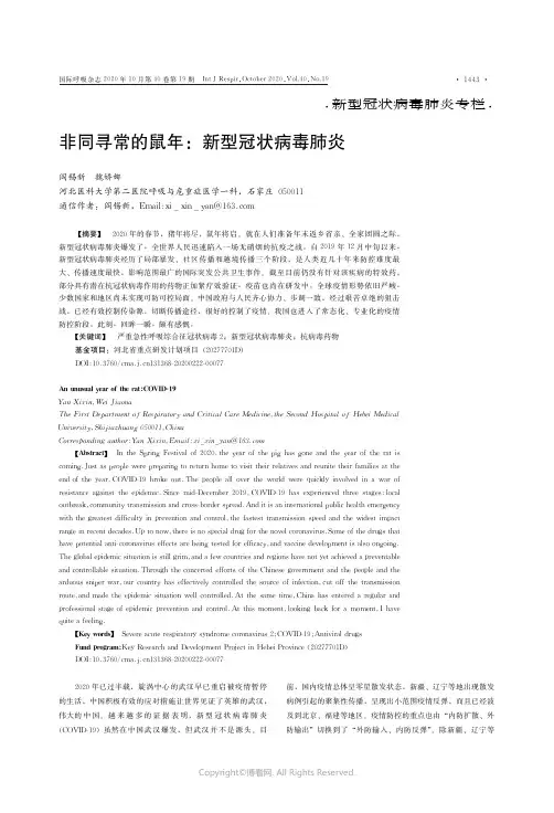 非同寻常的鼠年