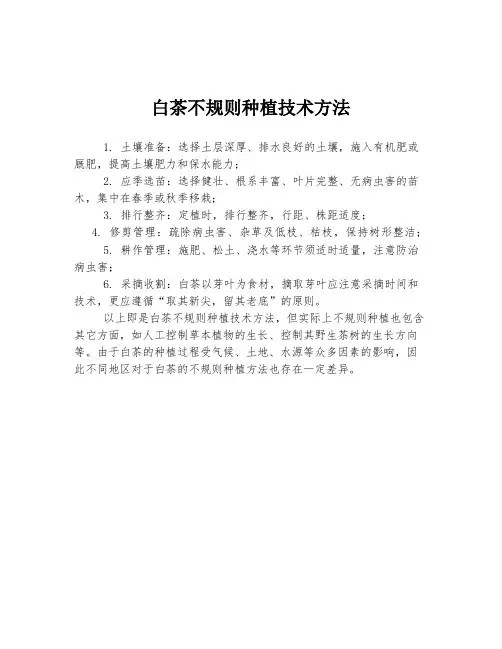 白茶不规则种植技术方法