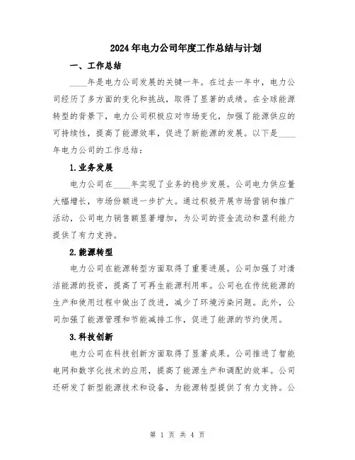 2024年电力公司年度工作总结与计划