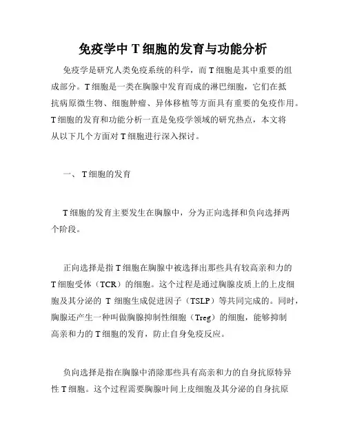免疫学中T细胞的发育与功能分析