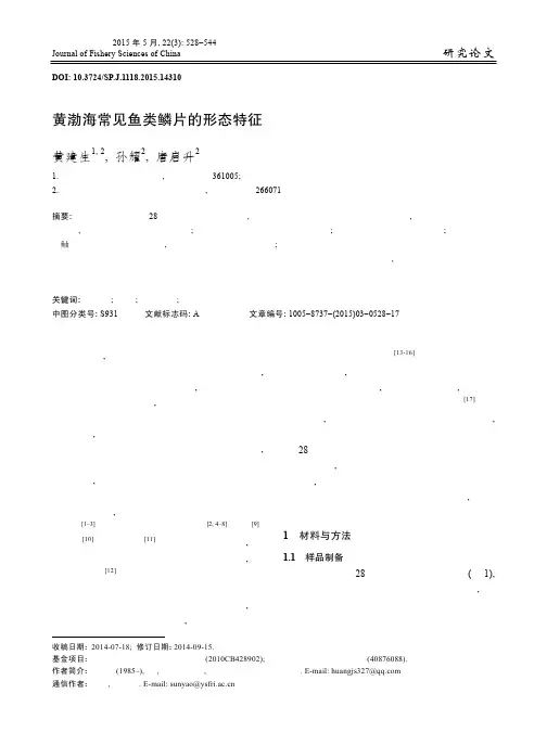 黄渤海常见鱼类鳞片的形态特征
