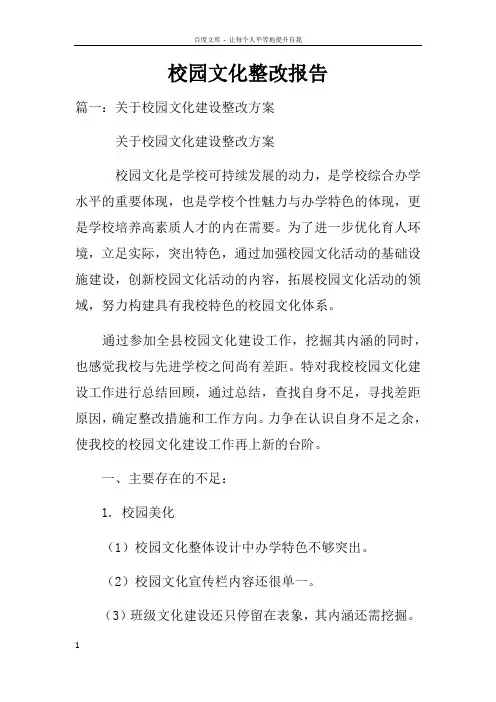 校园文化整改报告
