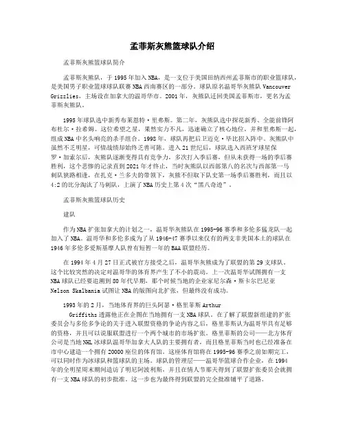 孟菲斯灰熊篮球队介绍