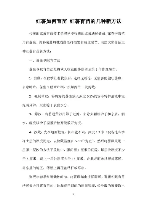 红薯如何育苗红薯育苗的几种新方法
