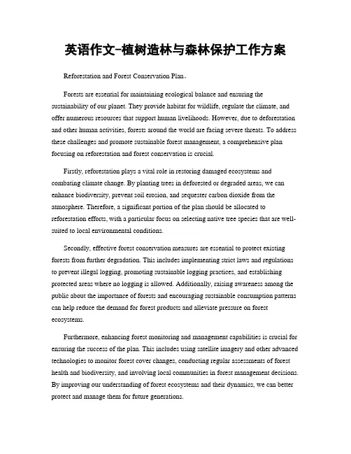 英语作文-植树造林与森林保护工作方案