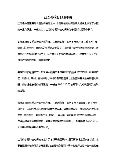 江苏水稻几月种植
