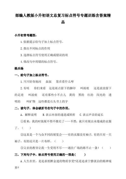 部编人教版小升初语文总复习标点符号专题训练含答案精