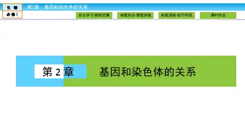 孟德尔遗传规律课件