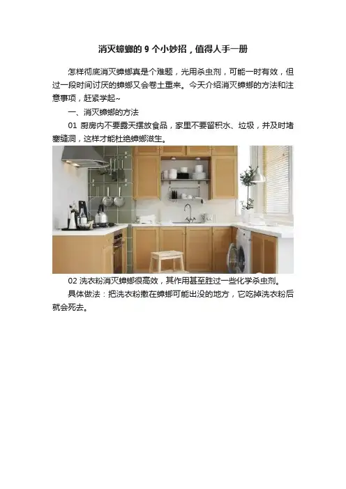 消灭蟑螂的9个小妙招，值得人手一册