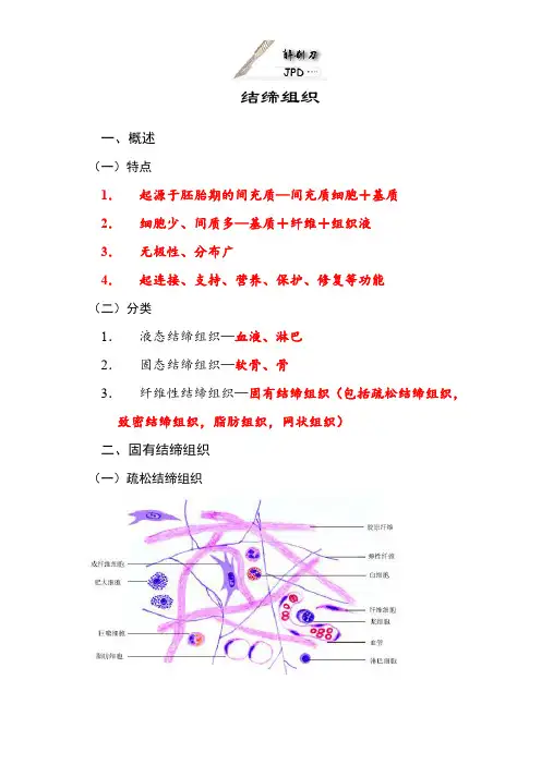 《动物解剖学习指导》第一章基本组织-结缔组织
