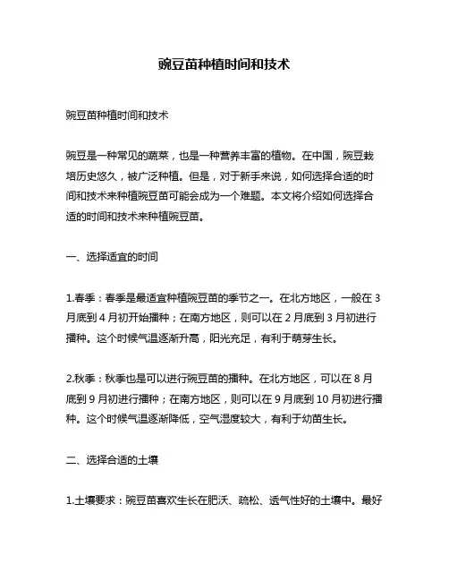 豌豆苗种植时间和技术