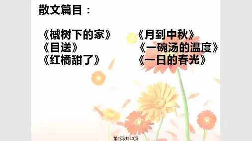 散文阅读指导优质课PPT课件