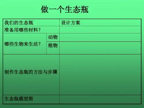 做一个生态瓶