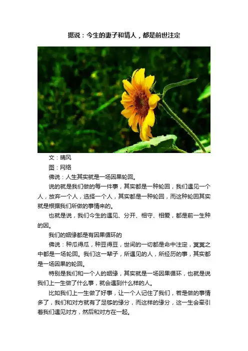 据说：今生的妻子和情人，都是前世注定
