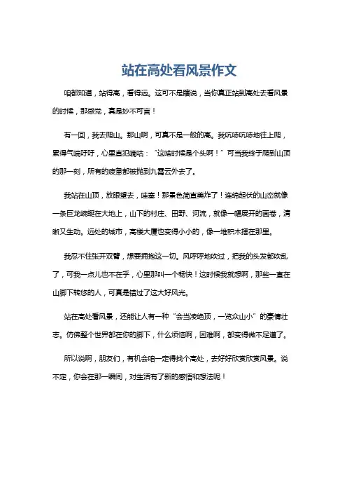 站在高处看风景作文