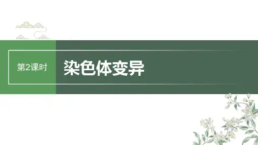 2024届高考一轮复习生物课件(人教版)：染色体变异
