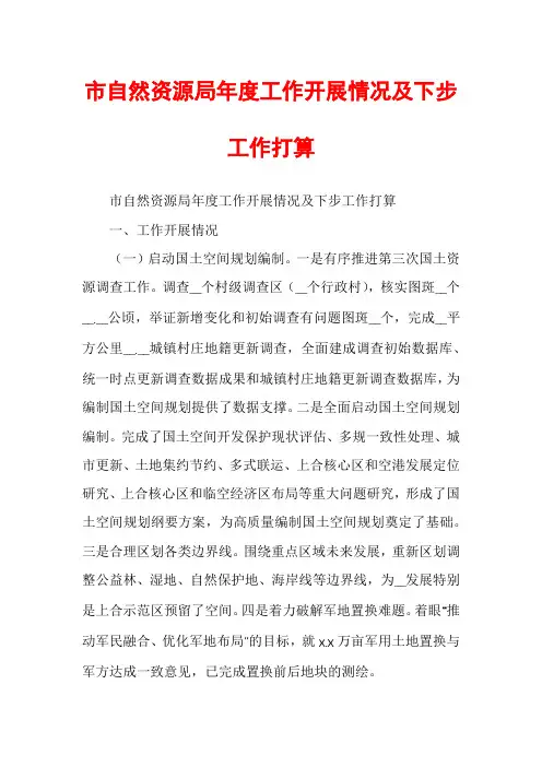 市自然资源局年度工作开展情况及下步工作打算