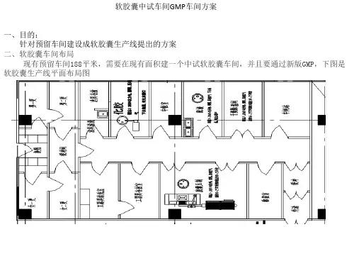 软胶囊中试车间GMP车间方案