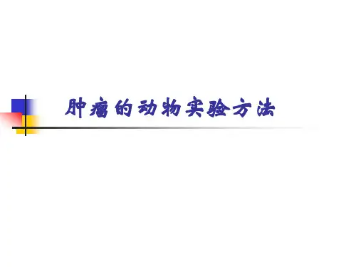 高级病理学：肿瘤的动物实验方法