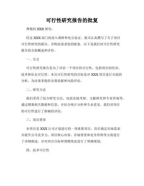 可行性研究报告的批复