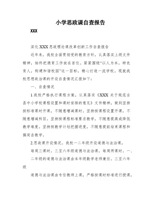 小学思政课自查报告