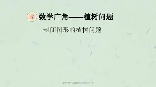五年级数学上册封闭图形的植树问题课件