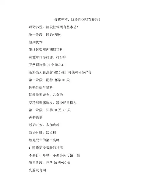 母猪养殖,阶段性饲喂有技巧!