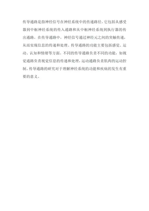 传导通路名词解释