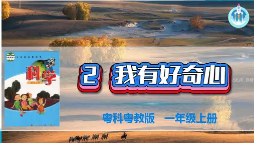 粤科粤教版科学一年级上册2我有好奇心PPT课件