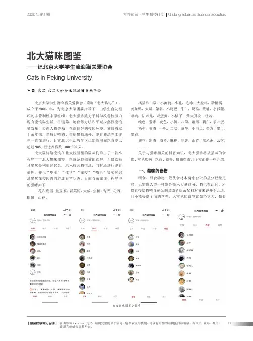 北大猫咪图鉴——记北京大学学生流浪猫关爱协会