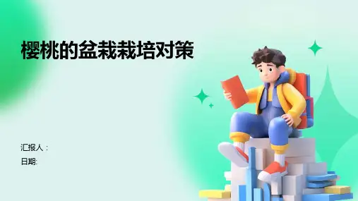 樱桃的盆栽栽培对策