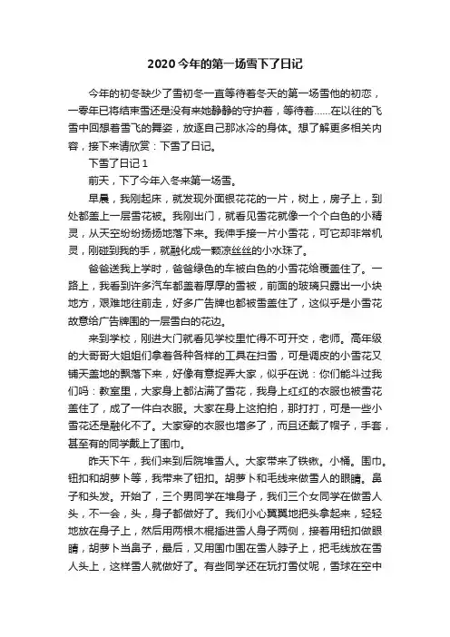 2020今年的第一场雪下了日记