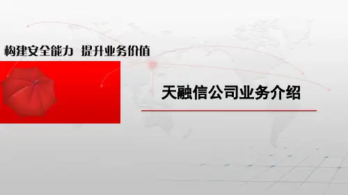 天融信公司业务介绍