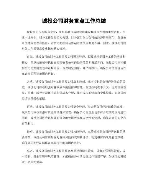 城投公司财务重点工作总结