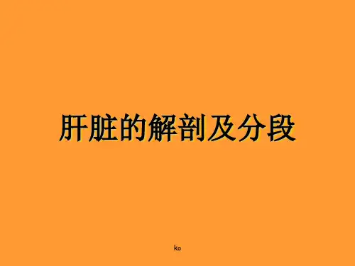 肝脏的解剖及分段分叶课件.ppt