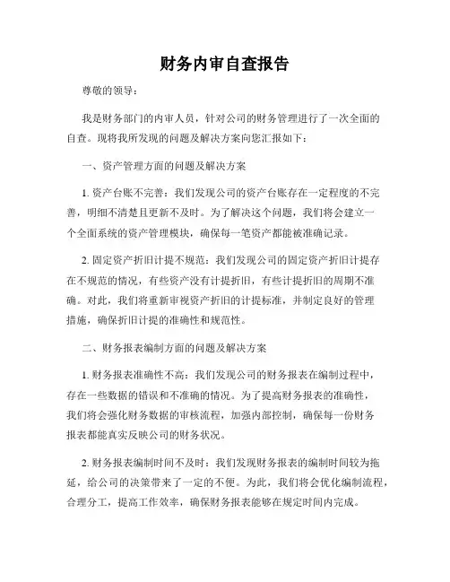 财务内审自查报告