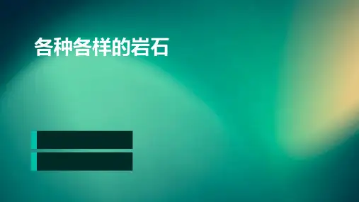 各种各样的岩石PPT
