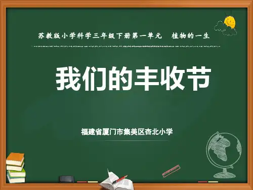 【新教材】苏教版三年级下册科学课件-4.植物结果了