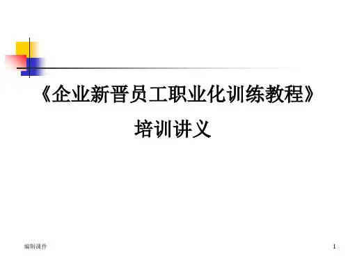 新人培训-企业新晋员工职业化训练教程(员工培训经典教程)